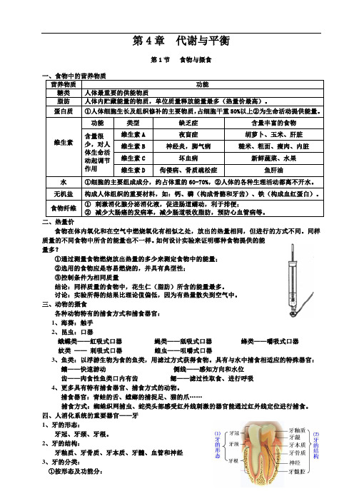 九年级上科学第4章知识点(复习提纲)