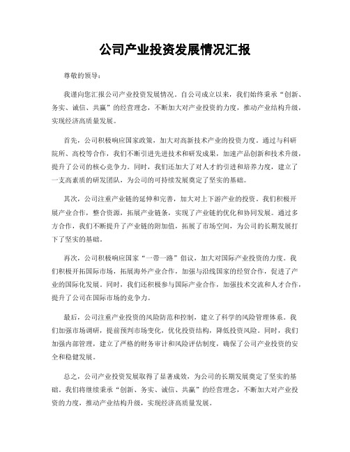 公司产业投资发展情况汇报