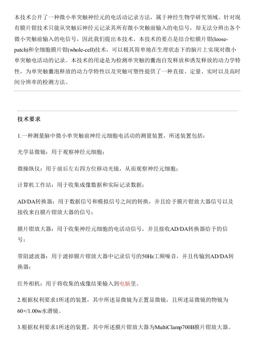 微小单突触神经元的电活动记录方法与相关技术