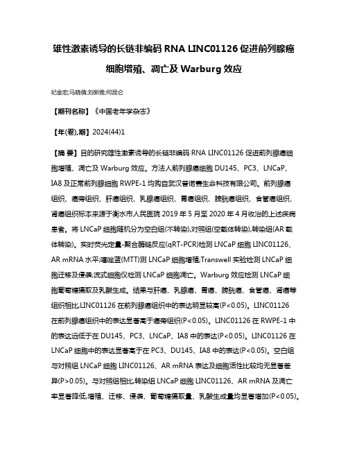 雄性激素诱导的长链非编码RNA LINC01126促进前列腺癌细胞增殖、凋亡及Warburg效应