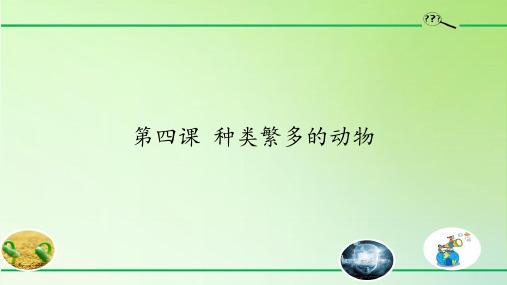 冀人版(义务教育版)三年级科学下册第四课 《种类繁多的动物》精品课件