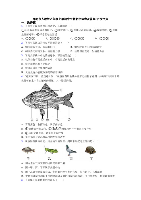 廊坊市人教版八年级上册期中生物期中试卷及答案-百度文库