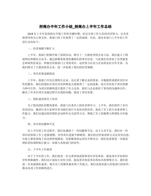 招商办半年工作小结_招商办上半年工作总结