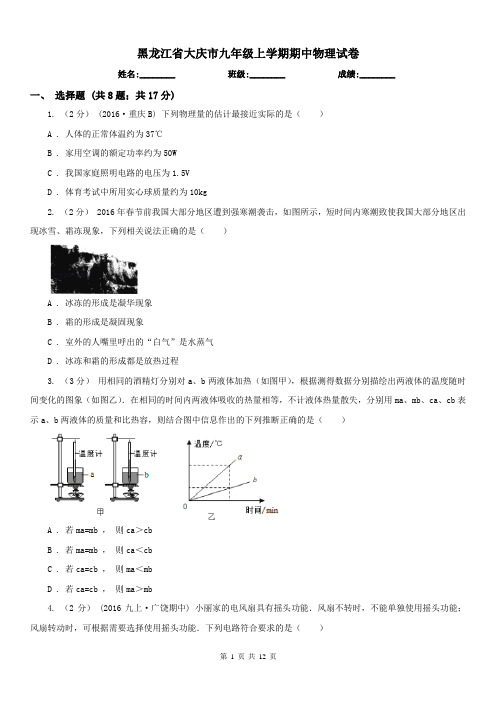 黑龙江省大庆市九年级上学期期中物理试卷