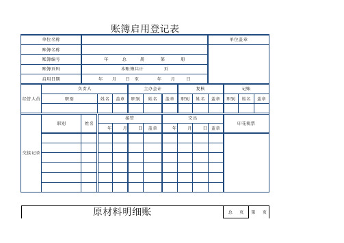 明细账模板(数量金额式)