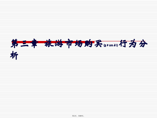 03旅游市场购买行为分析(共64张)