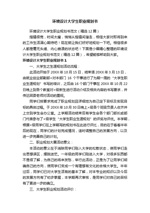 环境设计大学生职业规划书范文（精选12篇）