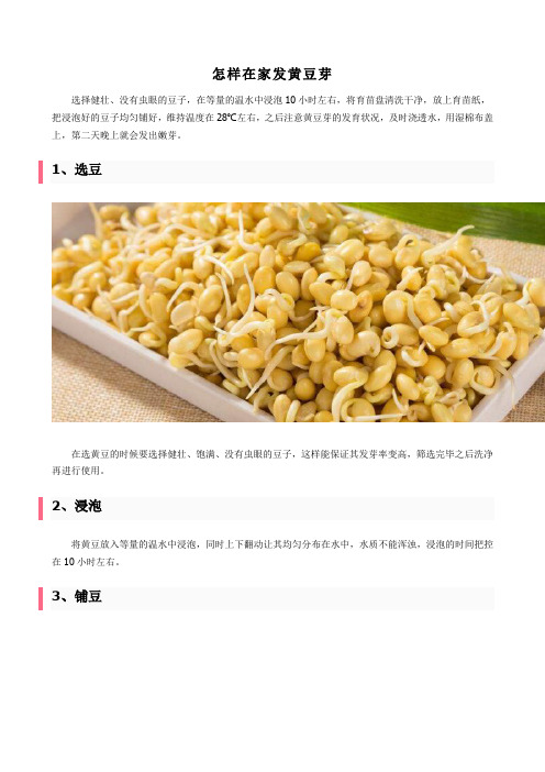 怎样在家发黄豆芽