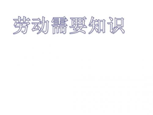 六年级品社上册《劳动需要知识》课件1浙教版