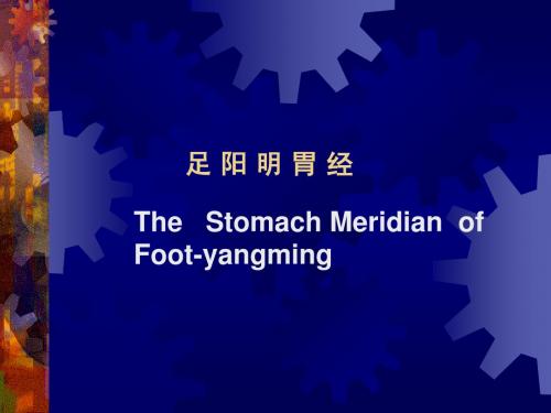 3 胃脾经10-25