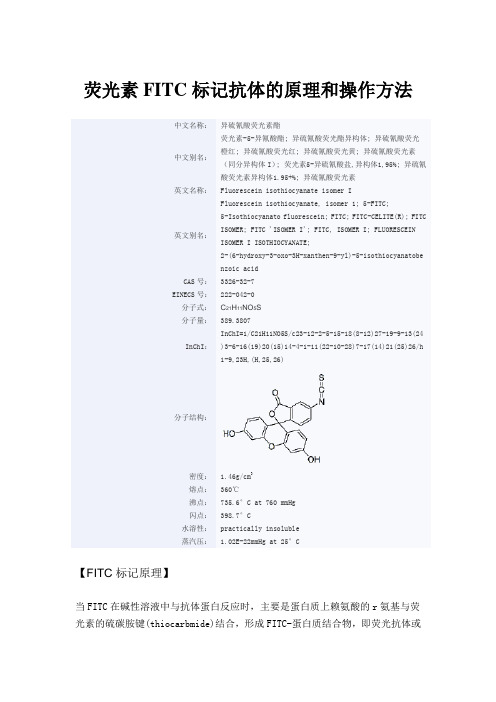 荧光素FITC标记抗体的原理和操作方法