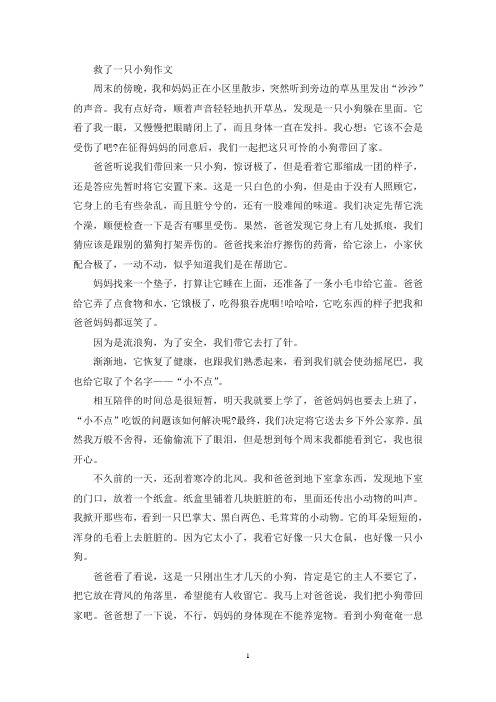 精选救了一只小狗作文