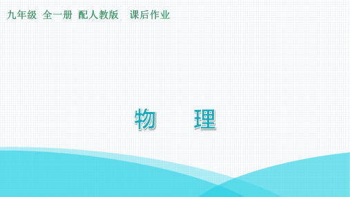 最新人教版九年级全一册物理第十三章内能微专题3探究不同物质的吸热能力