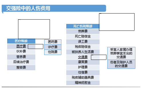 交通事故人伤赔偿主要项目及审核标准