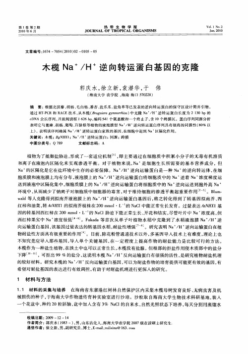 木榄Na +/H +逆向转运蛋白基因的克隆
