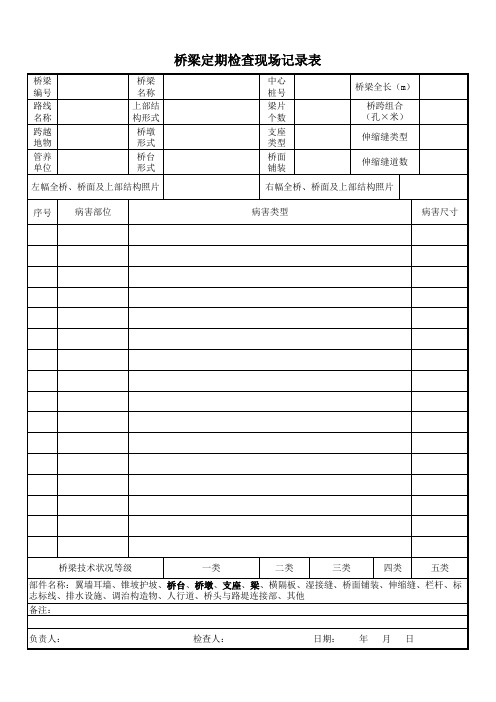 桥梁定期检查现场记录表