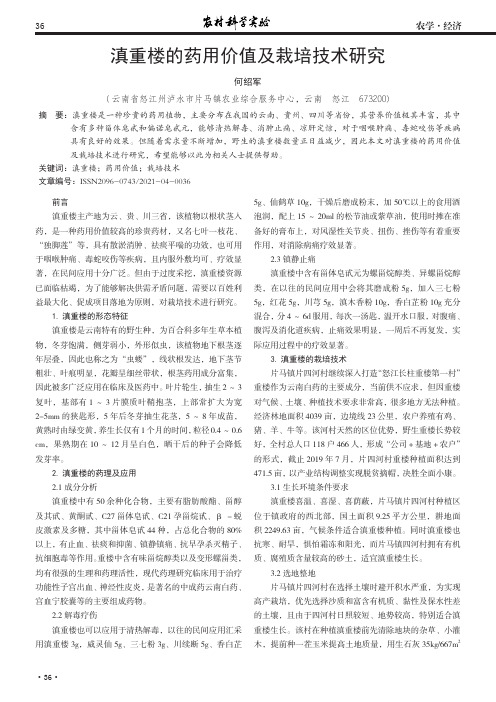 滇重楼的药用价值及栽培技术研究