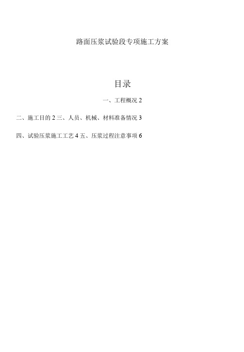 路面压浆试验段专项施工方案.docx