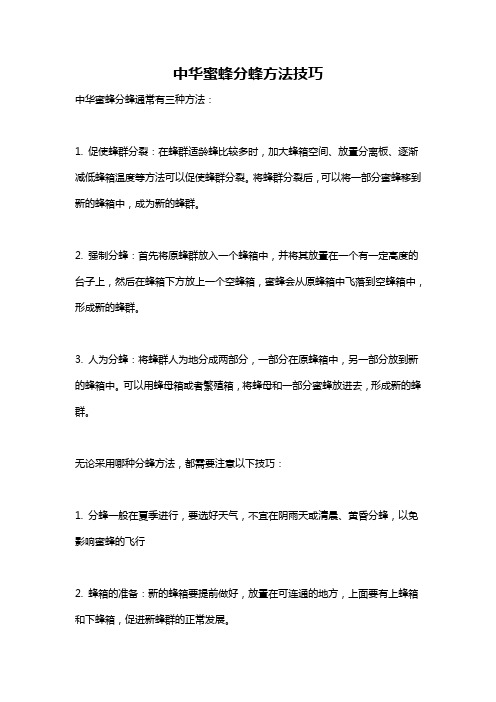 中华蜜蜂分蜂方法技巧