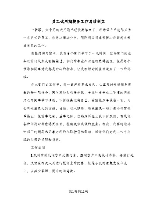 员工试用期转正工作总结例文(5篇)