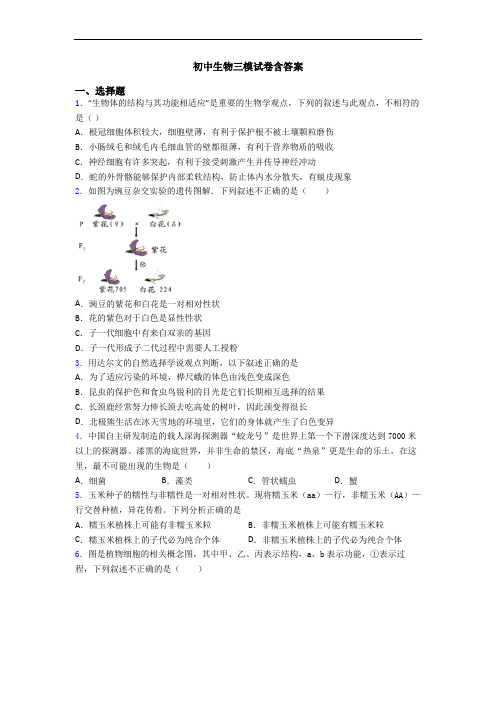 初中生物三模试卷含答案