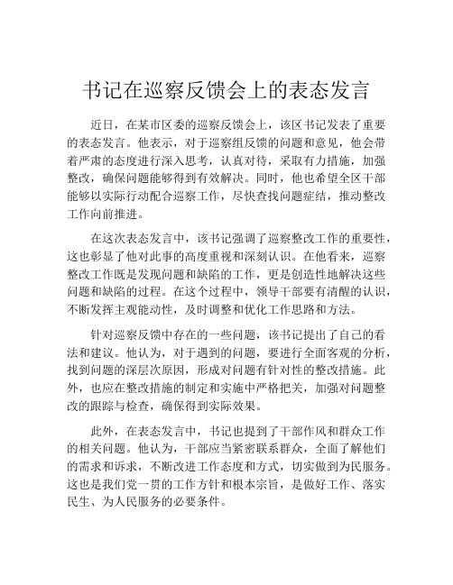 书记在巡察反馈会上的表态发言