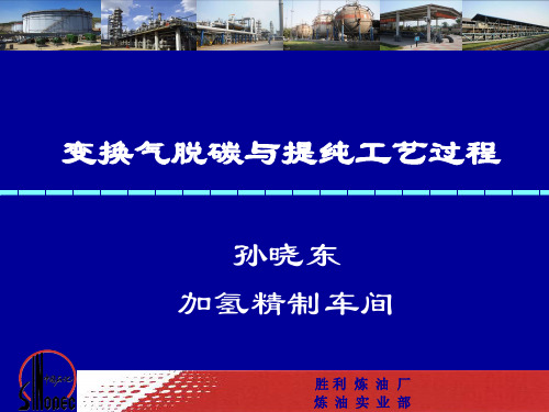 变换气脱碳与提纯工艺过程