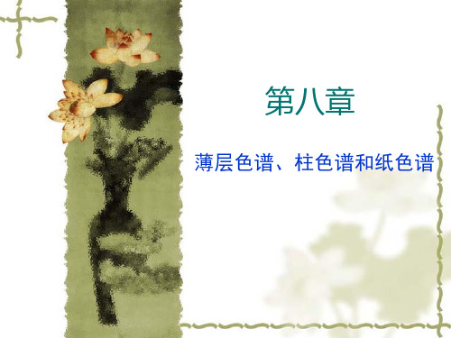 第八章色谱分离