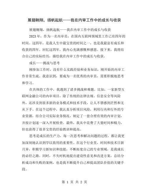 展翅翱翔,扬帆起航——我在内审工作中的成长与收获