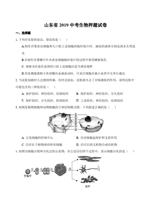 山东省2019中考生物押题试卷(含答案)