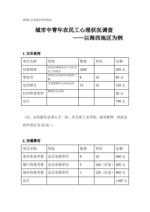 暑期社会实践经费预算表