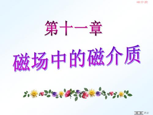 11-1磁介质 介质中安培环路定理  铁磁质  hzd