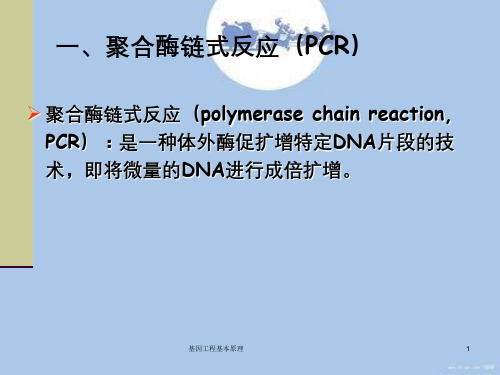 基因工程基本原理