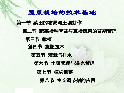 蔬菜种植技术培训.ppt