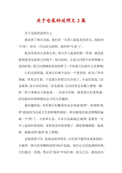 关于仓鼠的说明文3篇