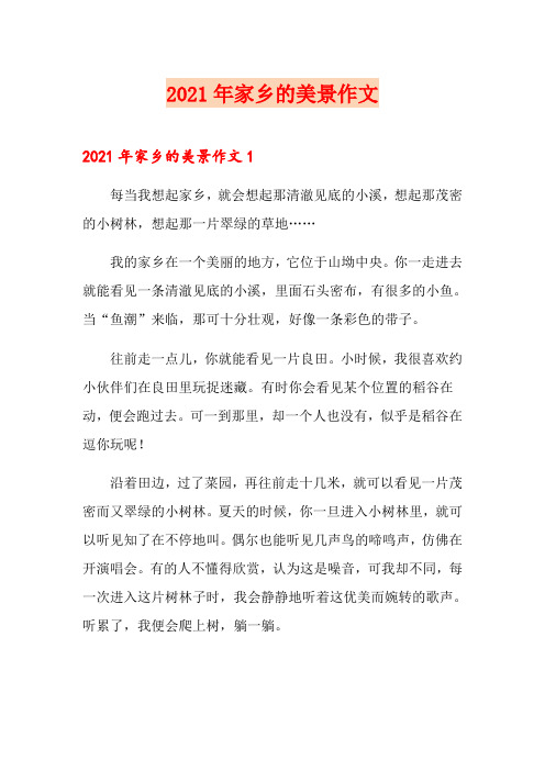 2021年家乡的美景作文【模板】