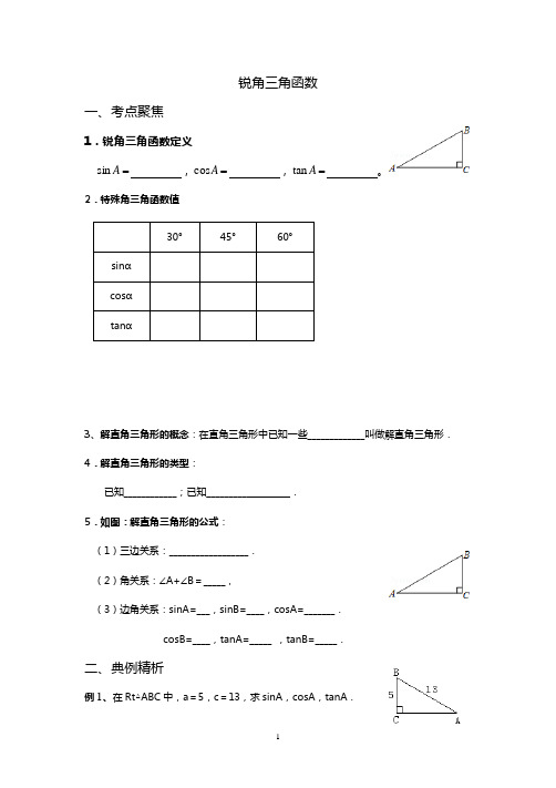 锐角三角函数(总复习)