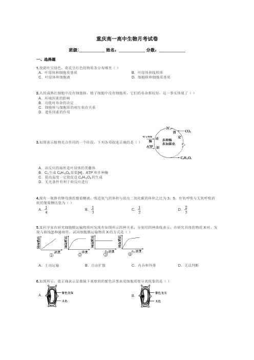 重庆高一高中生物月考试卷带答案解析
