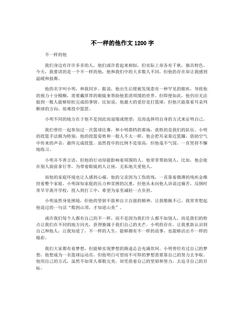 不一样的他作文1200字