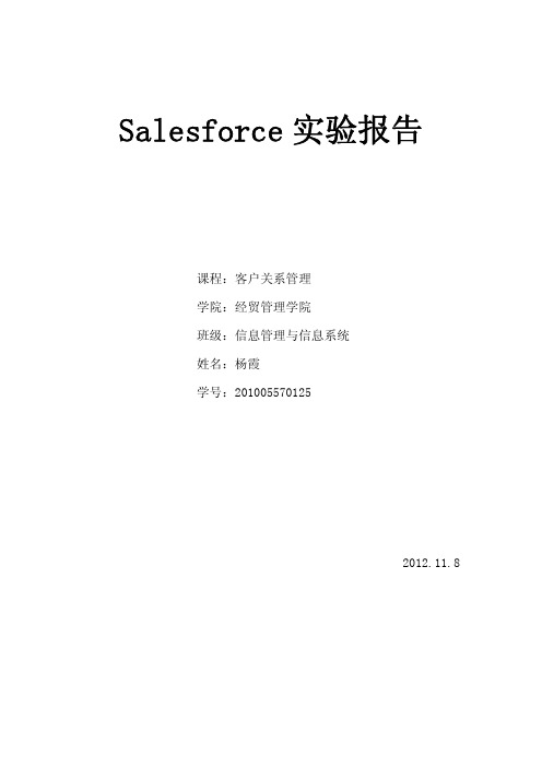 Salesforce实验报告-示例