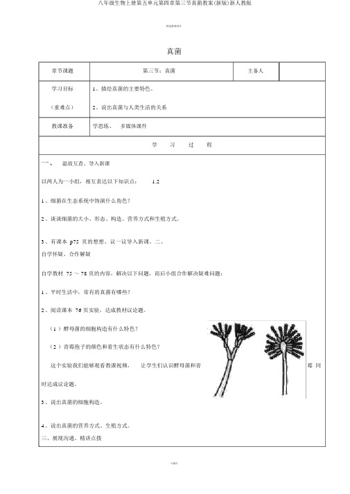 八年级生物上册第五单元第四章第三节真菌教案(新版)新人教版