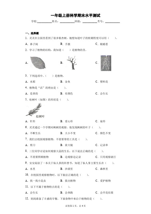 一年级上册科学期末考试卷含答案