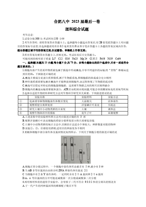 理综2023届安徽省合肥市第八中学高三下学期最后一卷