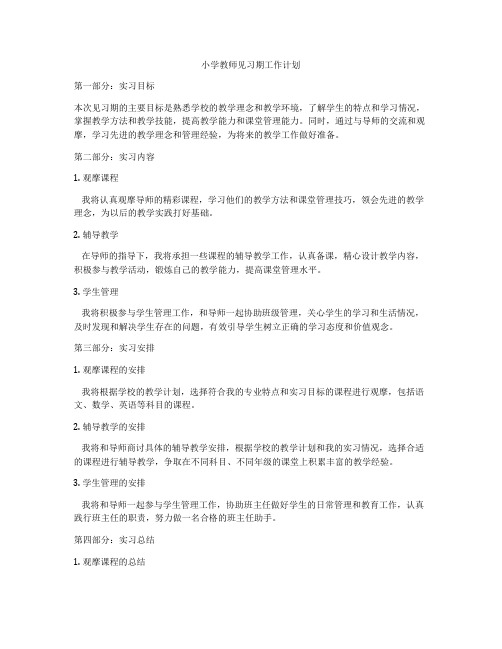 小学教师见习期工作计划