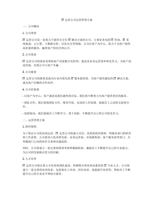 IT运营公司运营管理方案