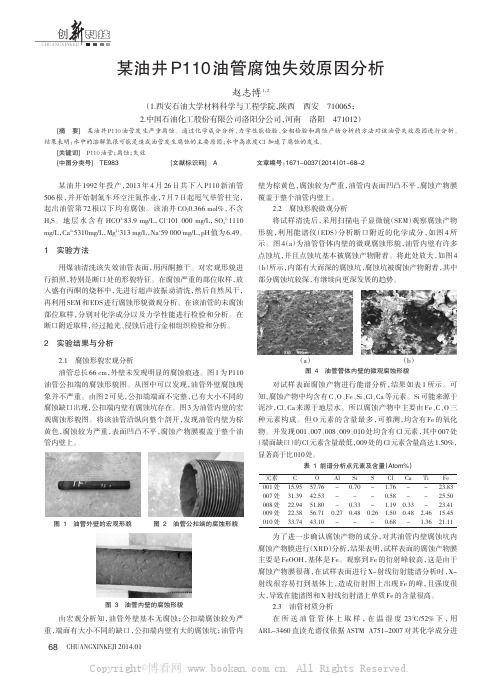 某油井Pll0油管腐蚀失效原因分析