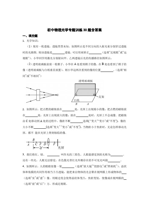 初中物理光学专题训练30题含参考答案-5套