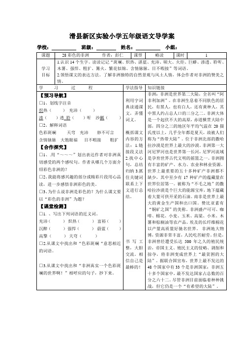 28彩色的非洲导学案