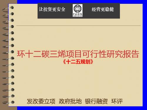 环十二碳三烯项目可行性研究报告.