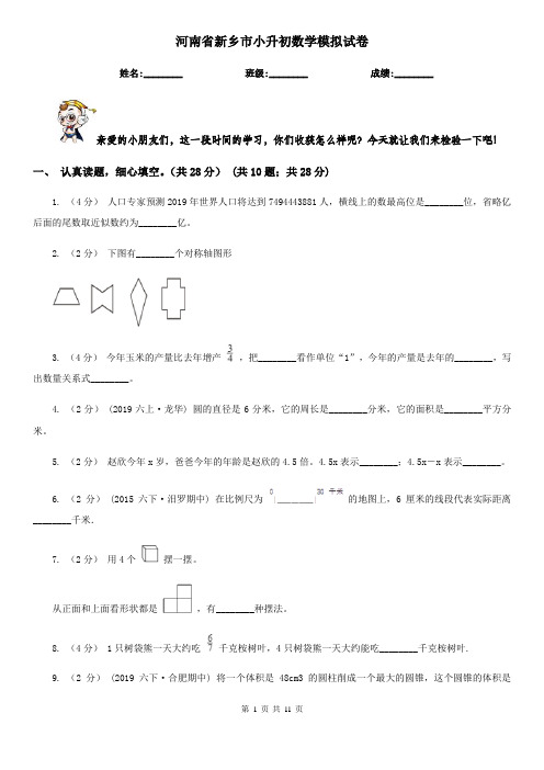 河南省新乡市小升初数学模拟试卷